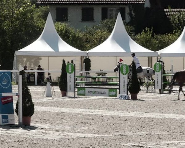 Pferdesporttage Bülach 2021