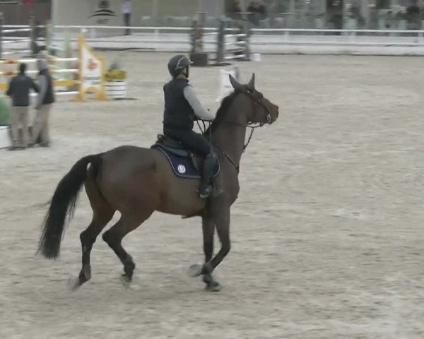MET II Oliva - Woche 1 (ESP) 2020
