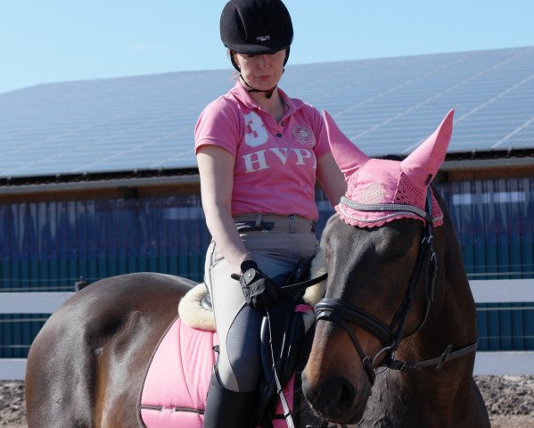 horse Rhubina (Oldenburg, 2000, from Rubioso N)