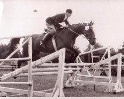 broodmare Forscheralm (Hanoverian, 1954, from Folkmar)