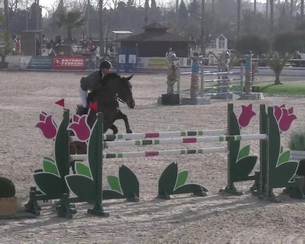 MET II Oliva - Woche 1 (ESP) 2020