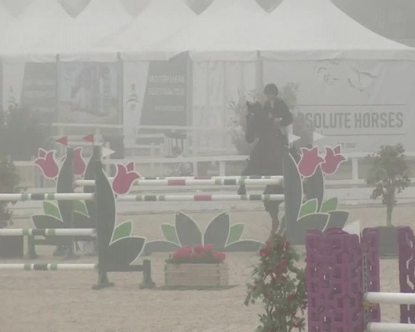 MET II Oliva - Woche 1 (ESP) 2020