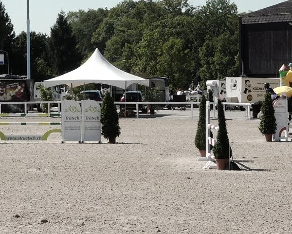 Pferdesporttage Bülach 2021