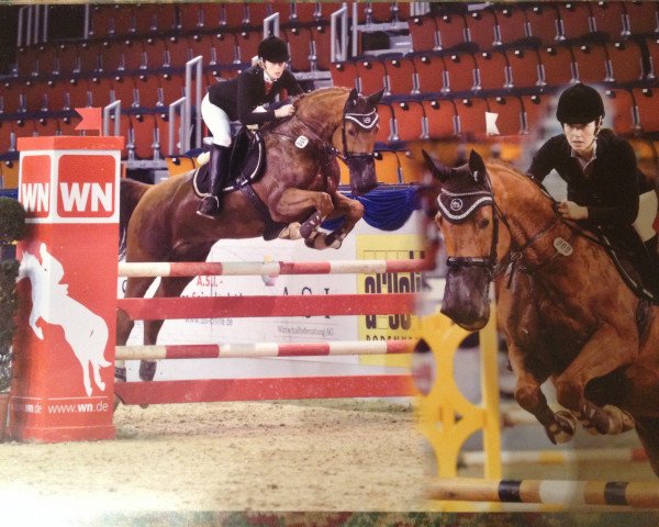 jumper Espri de Luxe 4 (Westphalian, 2003, from Ehrentusch)