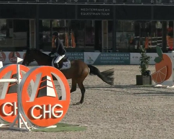 MET II Oliva - Woche 2 (ESP) 2020
