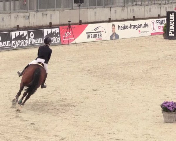 Jezdecký turnaj Westergellersen 2021