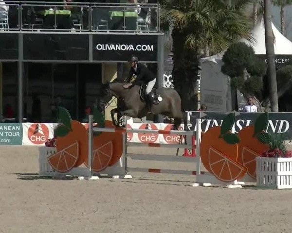 MET II Oliva - Woche 2 (ESP) 2020
