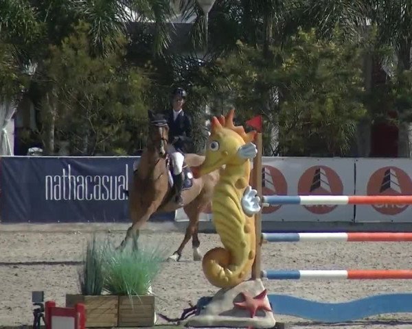 MET II Oliva - Woche 2 (ESP) 2020