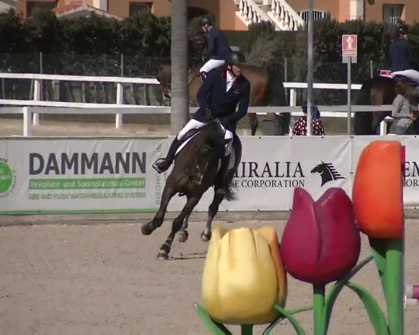 MET II Oliva - Woche 2 (ESP) 2020