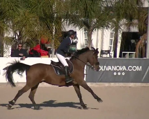 MET II Oliva - Woche 2 (ESP) 2020