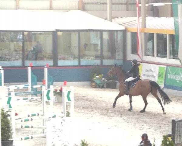 Reitturnier Oberriet 2020