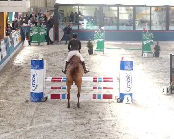 Reitturnier Oberriet 2020