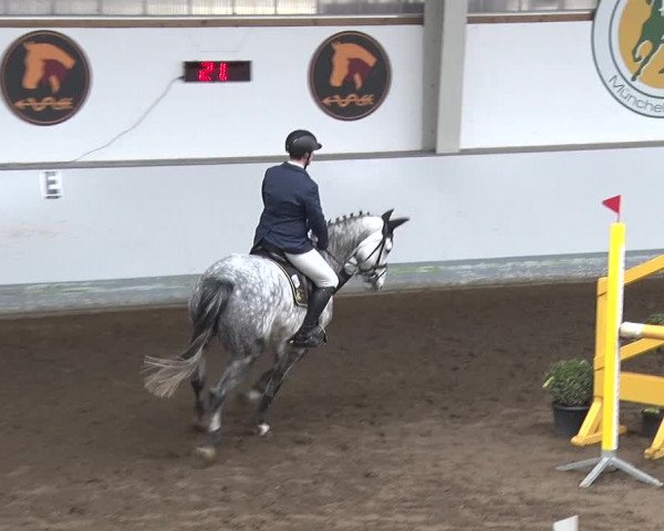 Reitturnier Münchehofe 2020