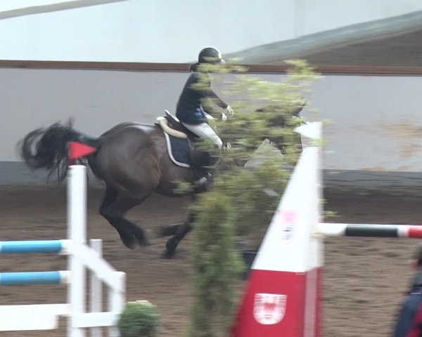 Reitturnier Münchehofe 2020