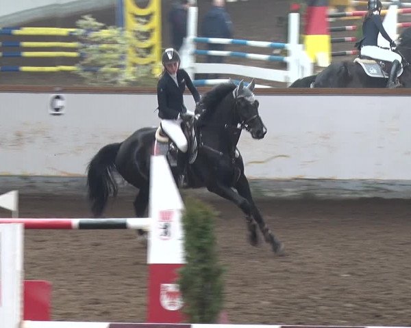 Reitturnier Münchehofe 2020