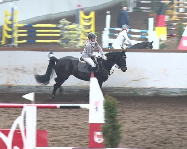 Reitturnier Münchehofe 2020