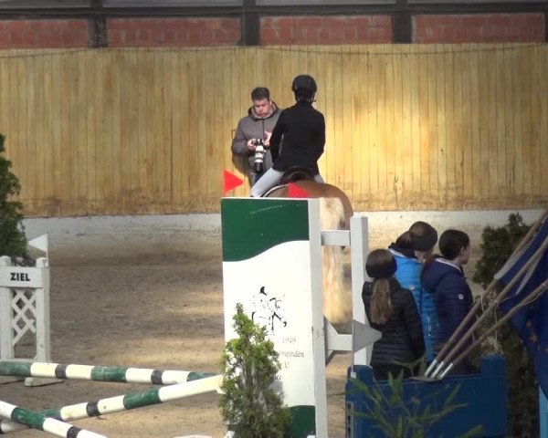 Reitturnier Monheim - Gut Blee 2020