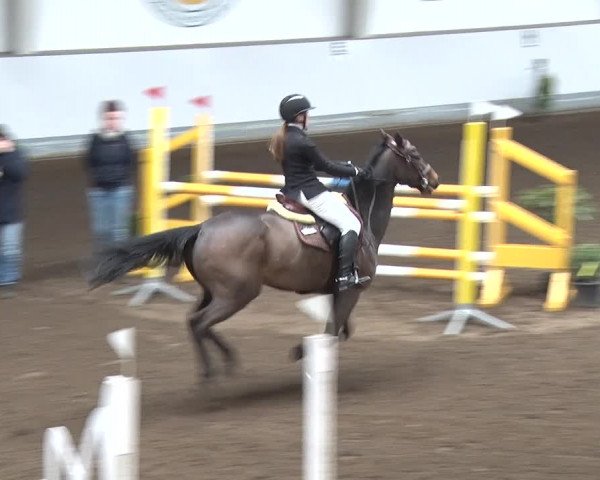 Reitturnier Münchehofe 2020