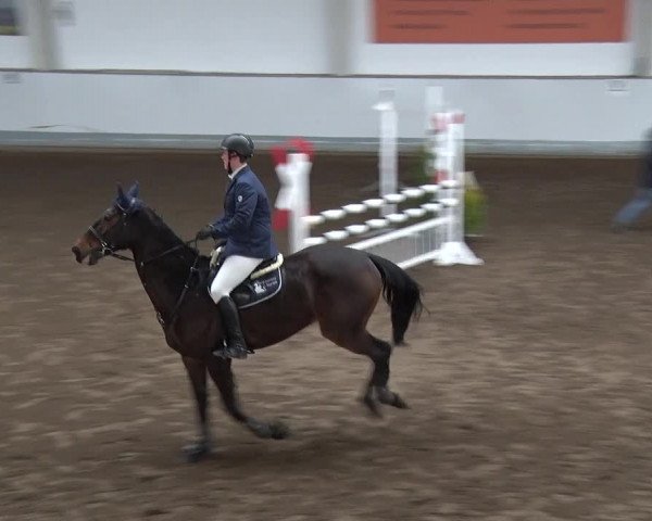 Reitturnier Münchehofe 2020