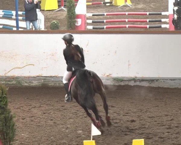 Reitturnier Münchehofe 2020