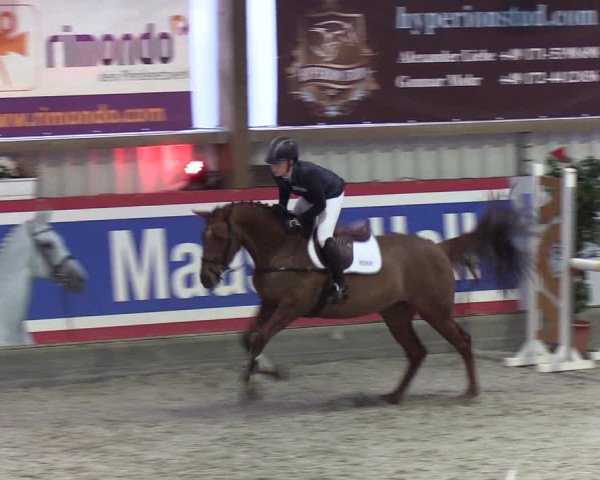 Nordic Jumping events 2020: Turnierergebnisse + Videos