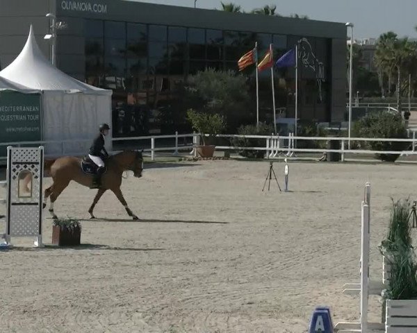 MET II Oliva - Woche 2 (ESP) 2020