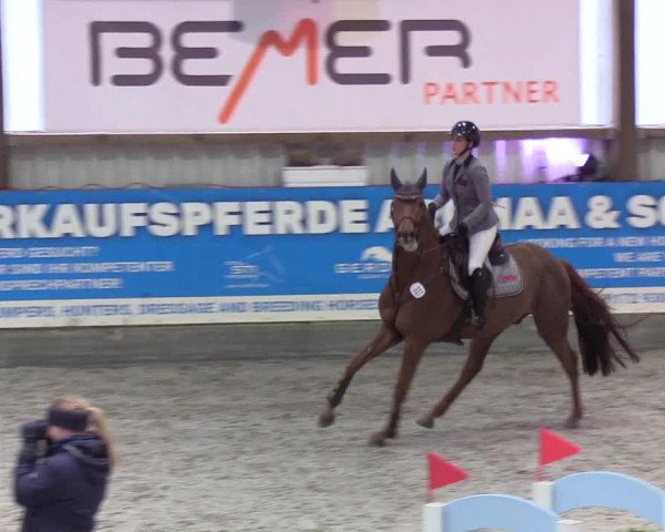 Nordic Jumping events 2020: Turnierergebnisse + Videos