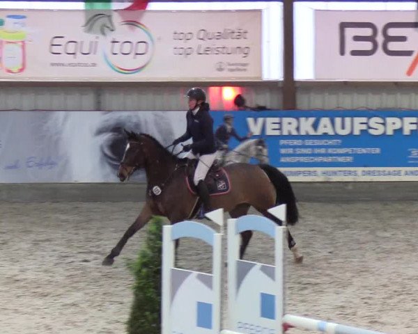 Nordic Jumping events 2020: Turnierergebnisse + Videos