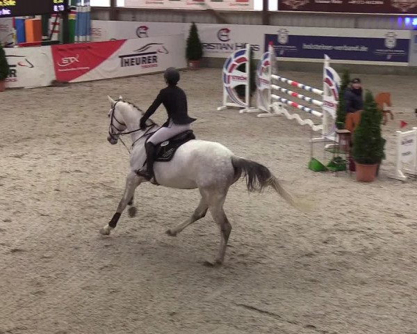 Nordic Jumping events 2020: Turnierergebnisse + Videos