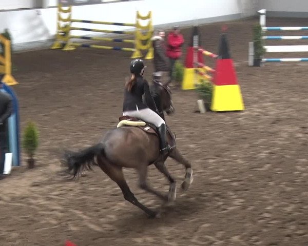 Reitturnier Münchehofe 2020