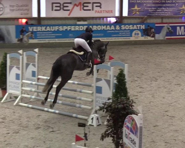 Nordic Jumping events 2020: Turnierergebnisse + Videos