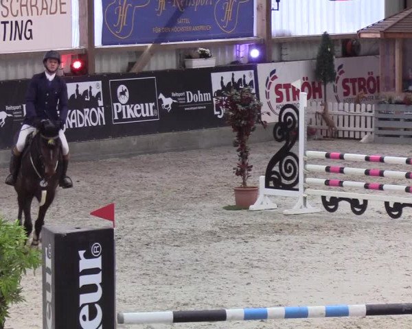 Nordic Jumping events 2020: Turnierergebnisse + Videos