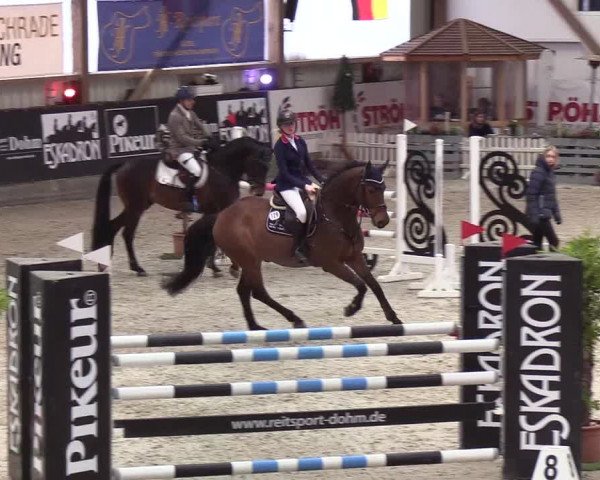 Nordic Jumping events 2020: Turnierergebnisse + Videos