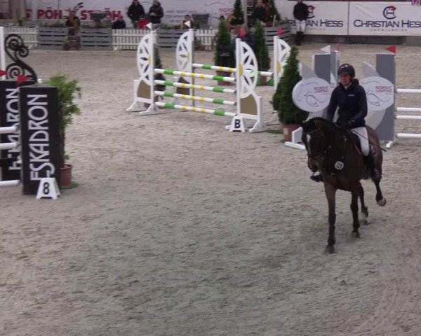 Nordic Jumping events 2020: Turnierergebnisse + Videos