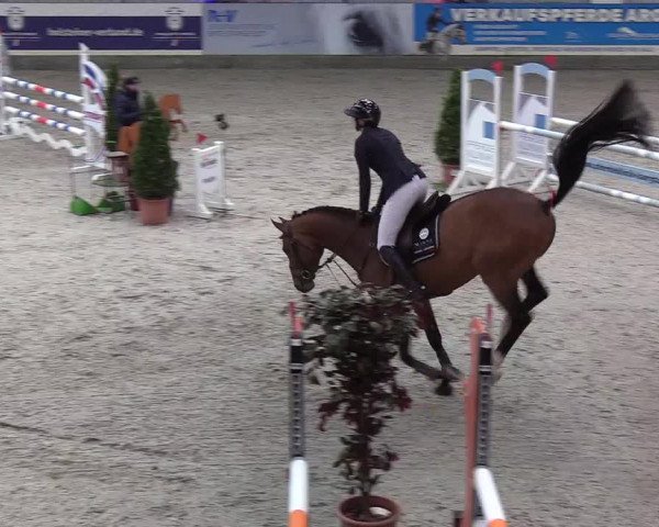 Nordic Jumping events 2020: Turnierergebnisse + Videos