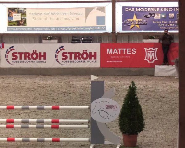 Nordic Jumping events 2020: Turnierergebnisse + Videos