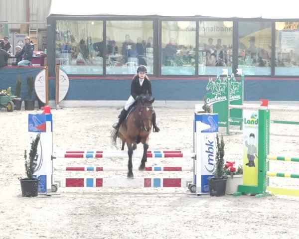 Reitturnier Oberriet 2020