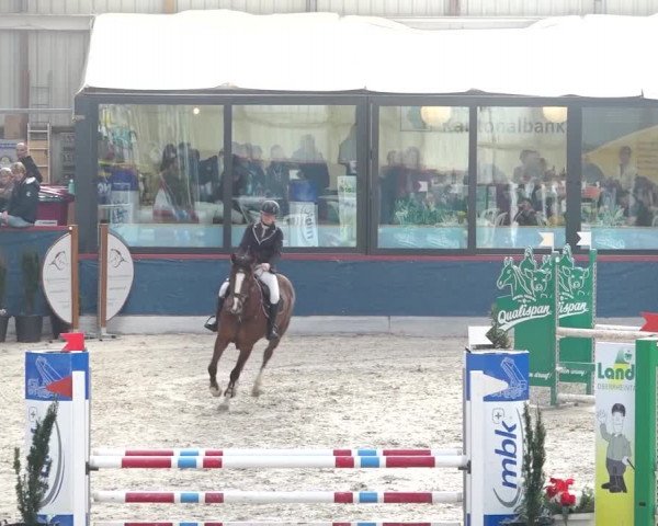 Reitturnier Oberriet 2020