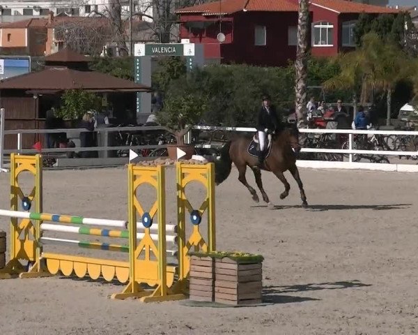 MET II Oliva - Woche 2 (ESP) 2020