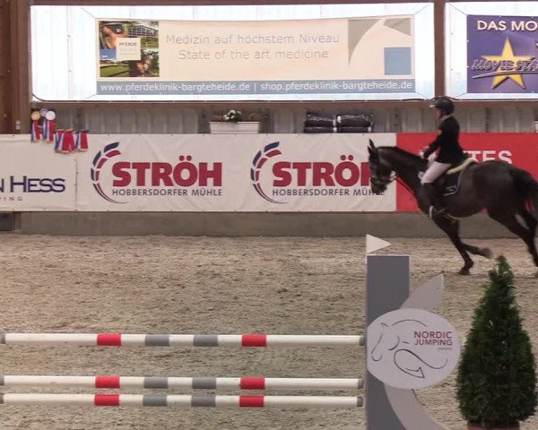 Nordic Jumping events 2020: Turnierergebnisse + Videos