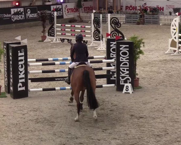 Nordic Jumping events 2020: Turnierergebnisse + Videos