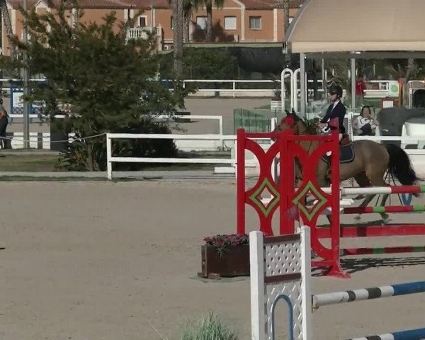 MET II Oliva - Woche 2 (ESP) 2020