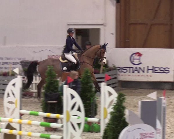 Nordic Jumping events 2020: Turnierergebnisse + Videos