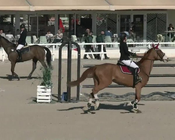 MET II Oliva - Woche 2 (ESP) 2020