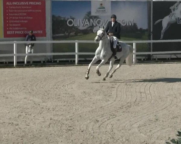 MET II Oliva - Woche 2 (ESP) 2020
