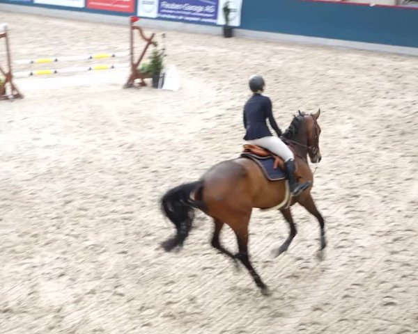 Reitturnier Oberriet 2020