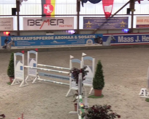 Nordic Jumping events 2020: Turnierergebnisse + Videos