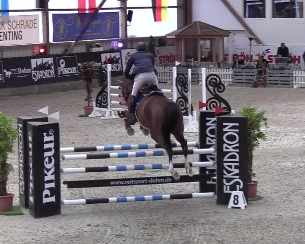 Nordic Jumping events 2020: Turnierergebnisse + Videos