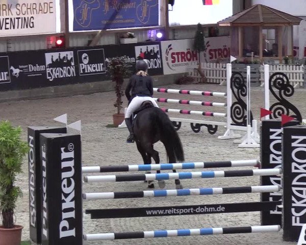 Nordic Jumping events 2020: Turnierergebnisse + Videos