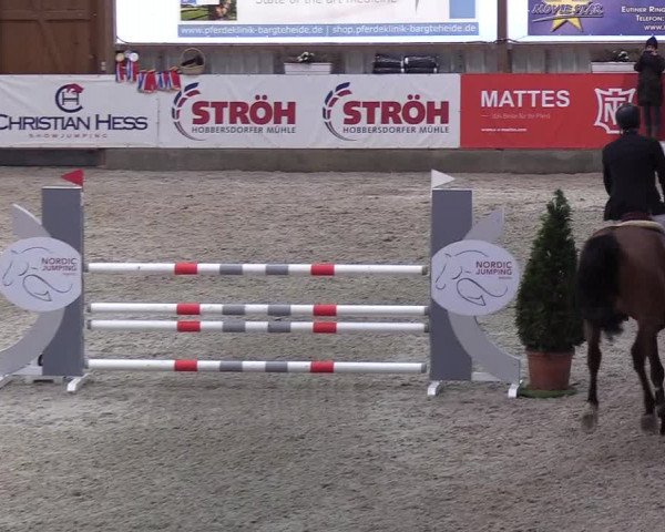 Nordic Jumping events 2020: Turnierergebnisse + Videos